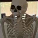 skull