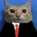 bnx9__FormalCat