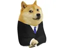 doge