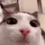 plink