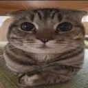 emoji_6