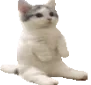 rc_catsitL rc_catsitL