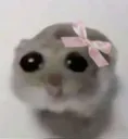 sad_pookie_innocent