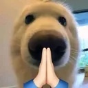 ou