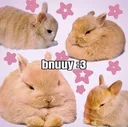 bnuuy bnuuy