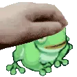 confideFrog
