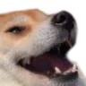 KEKW