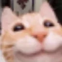 hapcat
