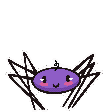 SpiderDance_ggGemZ