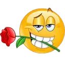 wsp