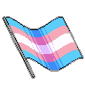 PrideAFlag_Trans Discord emoji