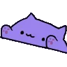 INTENSEBONGOS