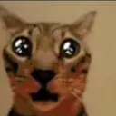 Omg