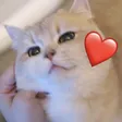 chingy1Miruheart