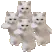 catplsx4