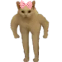 StrongCatCute