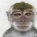 d7e56a6d22f49986c009c6cd406952e8