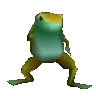 dancenfrog