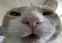 wey