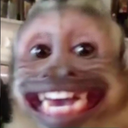 carafran_XP Discord emoji