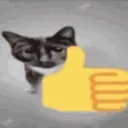 cat_thumbs_up