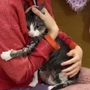 hugMeMommy