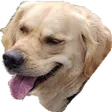 naruskHehe