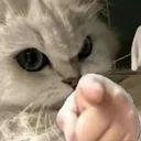 itsyoucat Discord Emoji