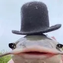CatHatFish