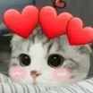 cute_cat cute_cat