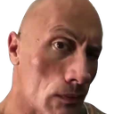 4221dwayneeyebrow Discord emoji