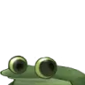 wideworry wideworry