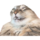 lastbraincell Discord Emoji | House