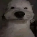 uuuuuuh