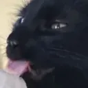 mlem mlem