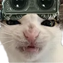 OutlastNVCat2