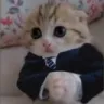 buisness