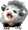 AAAAAAAAAAA