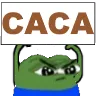 99_pepepancarte7_caca