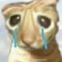waaaah