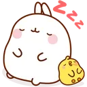 MolangSleep MolangSleep