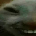 xdd1