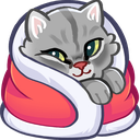 4cozycat Discord emoji
