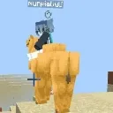Moony_camel