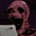 skull skull