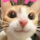 CATLVOE Discord Emoji