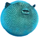 bigfatfuckassfatfuckerfish