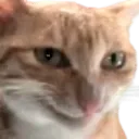 bobevil