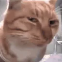 sus