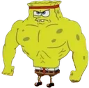 7443strongspongebob
